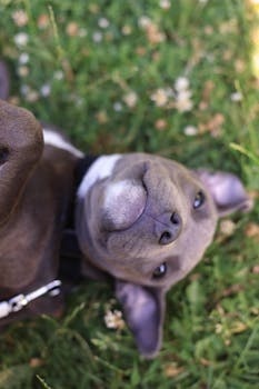 Foto de María López